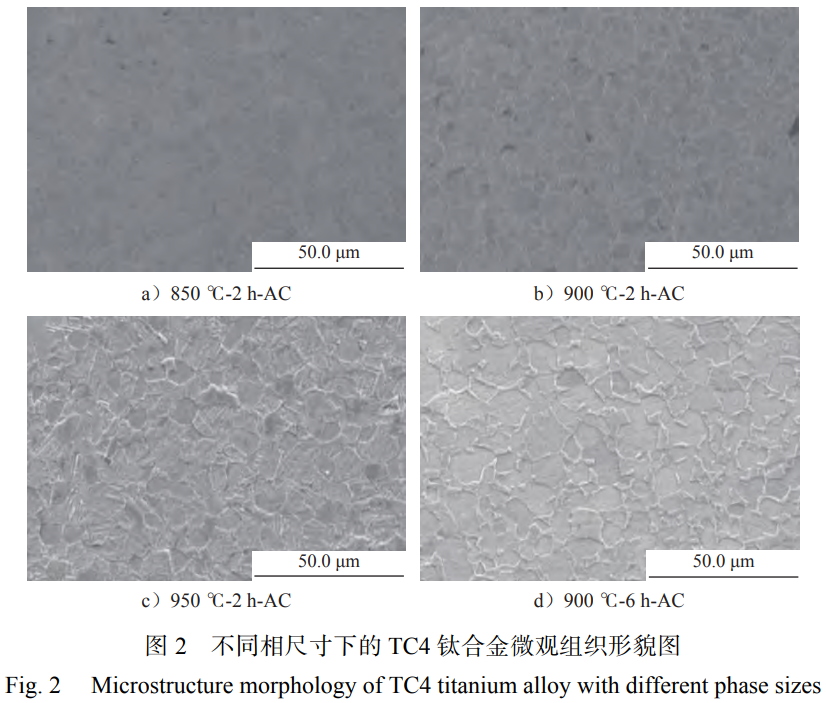 1763905328307100.png 截圖20251123212434.png