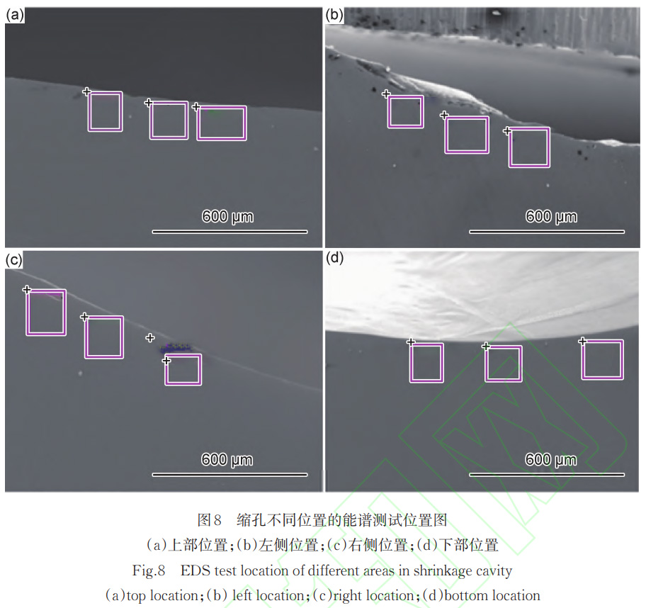 1766324726613288.jpg 未標題-3.jpg